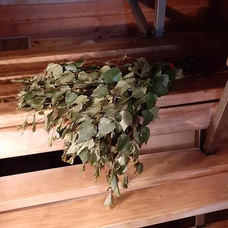 Haerkoeniemen Moekki 木屋 *
