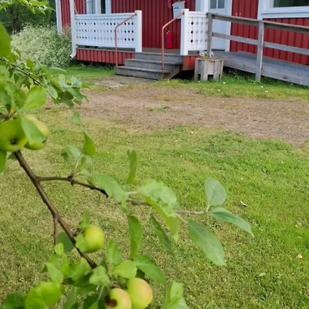 Haerkoeniemen Moekki 木屋 Leppävirta